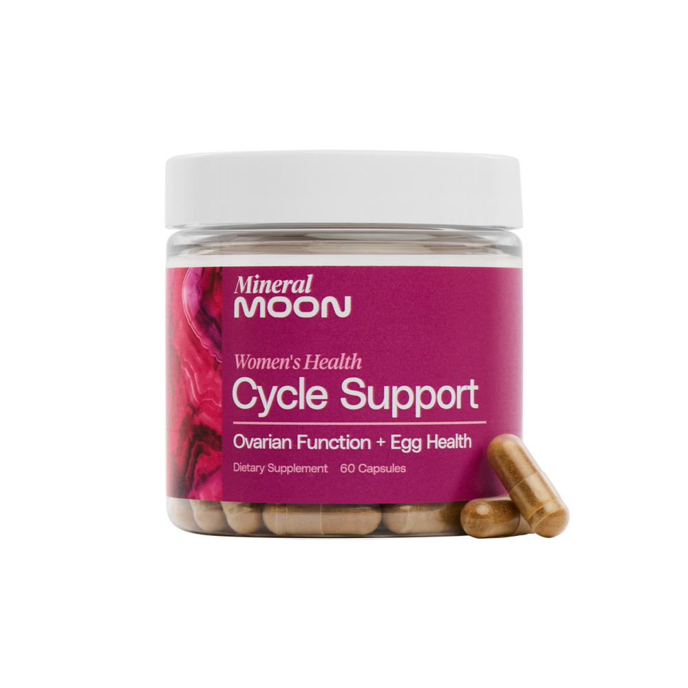 
                      
                        Cycle Support
                      
                    