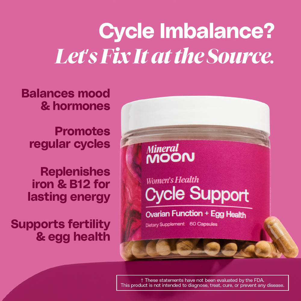 
                      
                        Cycle Support
                      
                    